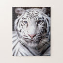 Search for white tiger puzzles Wild cats