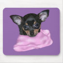 Search for chihuahua puppies mouse mats Chiwawa
