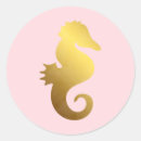 Search for seahorse stickers Fish