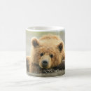 Search for brown bear cub mugs Animals in the wild