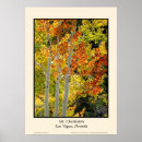 Search for aspen posters Red