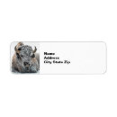 Search for wyoming return address labels Buffalo