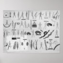 Search for seth posters Native