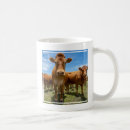 Search for farm cow mugs Livestock