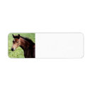 Search for arabian return address labels Equine