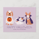 Search for happy bat postcards Dog