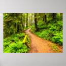 Search for footpath posters Forest