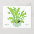 Search for bird drawing postcards Nest