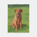Search for labrador retriever blankets Pets