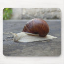 Search for snail mouse mats Animal