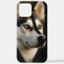 Search for husky iphone cases Animal