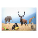 Search for banana monkey art Animals