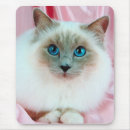 Search for pedigreed mouse mats Cute