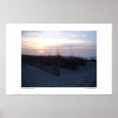 Search for seagrass posters Beach
