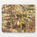 Search for juvenile animals mouse mats Nature