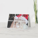 Search for cat in window christmas cards Pet