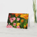 Search for tulip time cards Floral