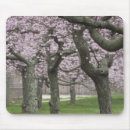 Search for cherry tree mouse mats Pink
