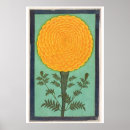 Search for marigold posters Indian