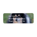 Search for sheltie return address labels Dog