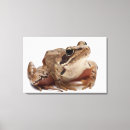 Search for blooded art Shells