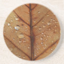 Search for ecology coasters Background