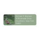 Search for spider return address labels Insect