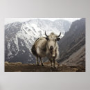 Search for threatened art Animal