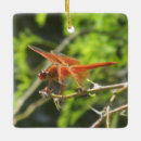 Search for dragonfly christmas decor Wildlife