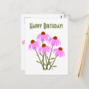 Search for cornflower postcards Purple cornflowers