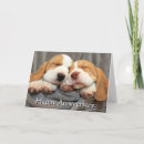 Search for beagle puppies cards Photography
