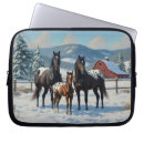 Search for red barn electronics Snow