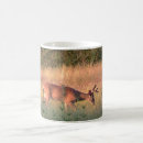 Search for whitetail deer mugs Animal