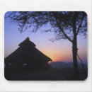 Search for indigenous mouse mats Culture