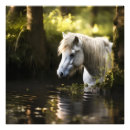 Search for wild forest animals posters White