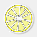 Search for lemon slice magnets Fruit