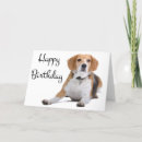 Search for beagle puppies cards Puppy