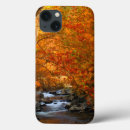 Search for fall foliage cases Orange