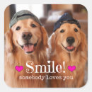 Search for two dogs stickers Cute