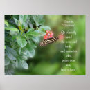 Search for zebra photo posters Butterfly