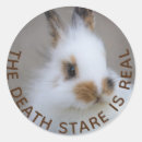 Search for death bunnies stickers Bunny