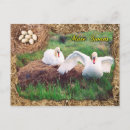 Search for mute postcards White