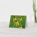 Search for coneflowers note cards Yellow