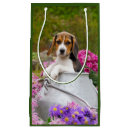 Search for beagle gift bags Pet