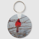 Search for cardinal round key rings Nature