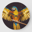 Search for regal clocks Nature