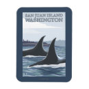 Search for juan magnets Orca