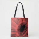 Search for orange gerbera bags Floral