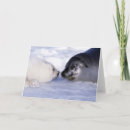 Search for seal cards Wild animals