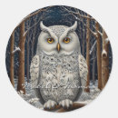 Search for white owls stickers Vintage